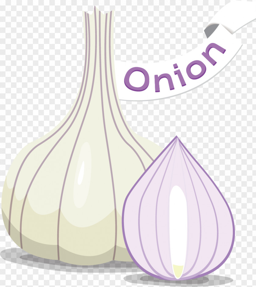 Onion Garlic Vegetables Vector Material Vegetable PNG