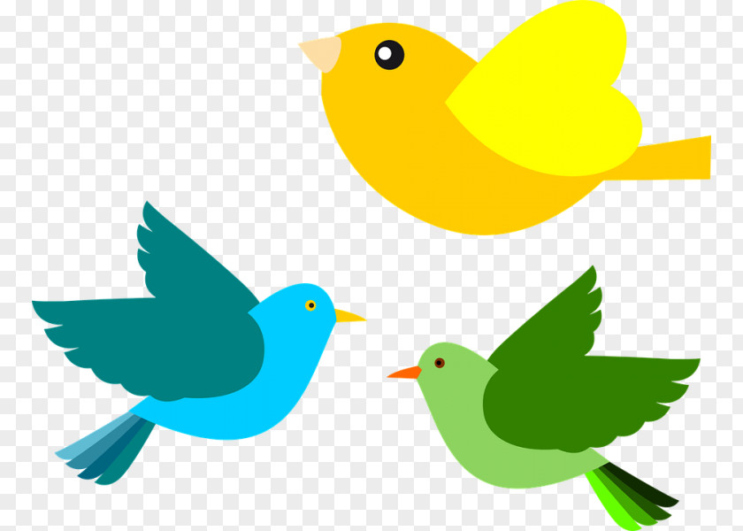 Bird Clip Art PNG