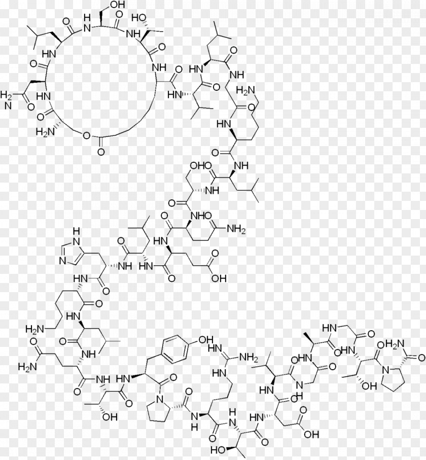 Fractional Sodium Excretion Elcatonin Calcitonin ATC Code H05 Polipeptide Formula Bruta PNG