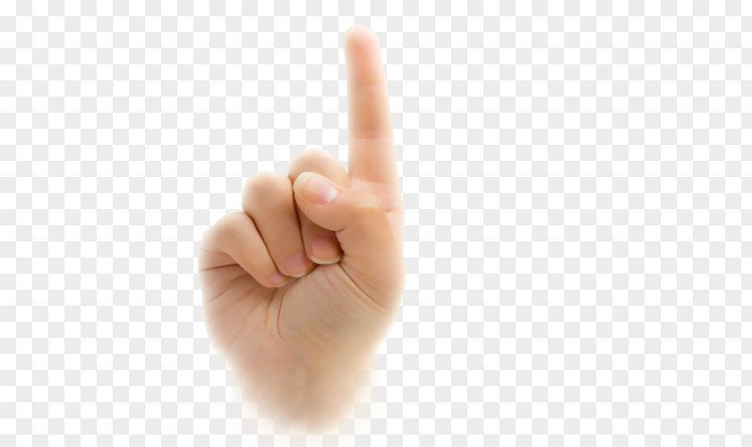 Hand Thumb Model PNG