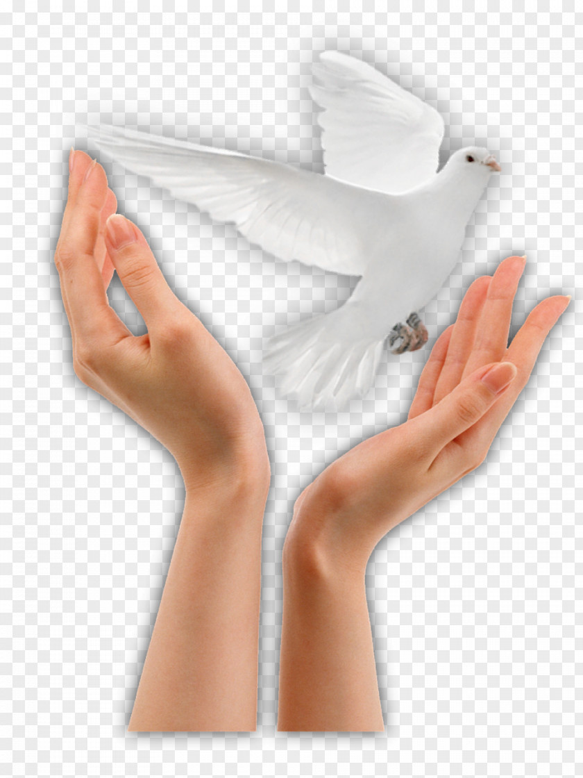 Peace Person Charlotte White Dove Release Clip Art PNG