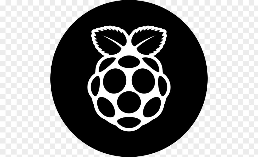 Raspberry Pi Secure Digital PNG