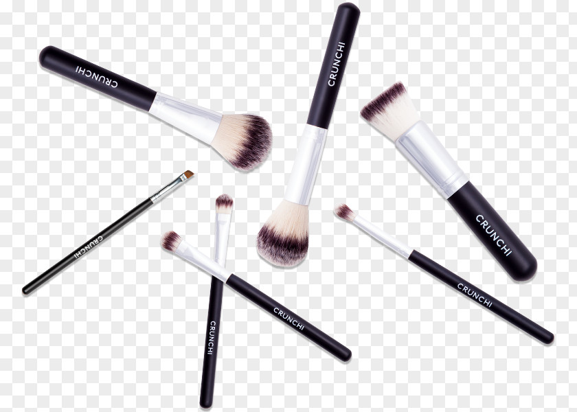 Animal Brush Makeup Cosmetics Foundation Crunchi PNG