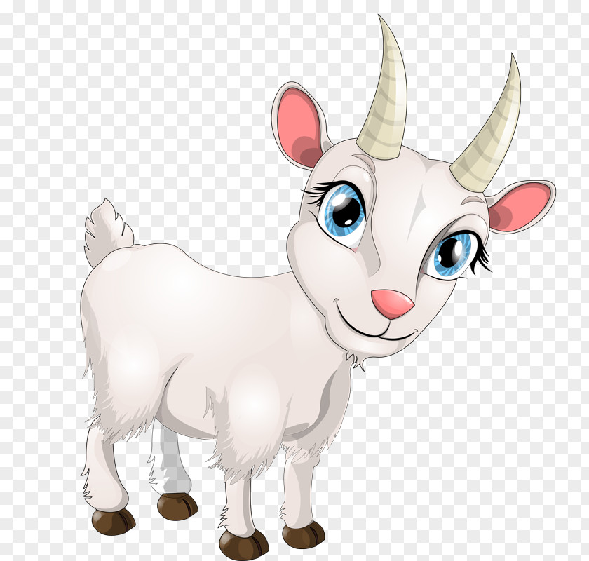Goat Sheep Cartoon PNG
