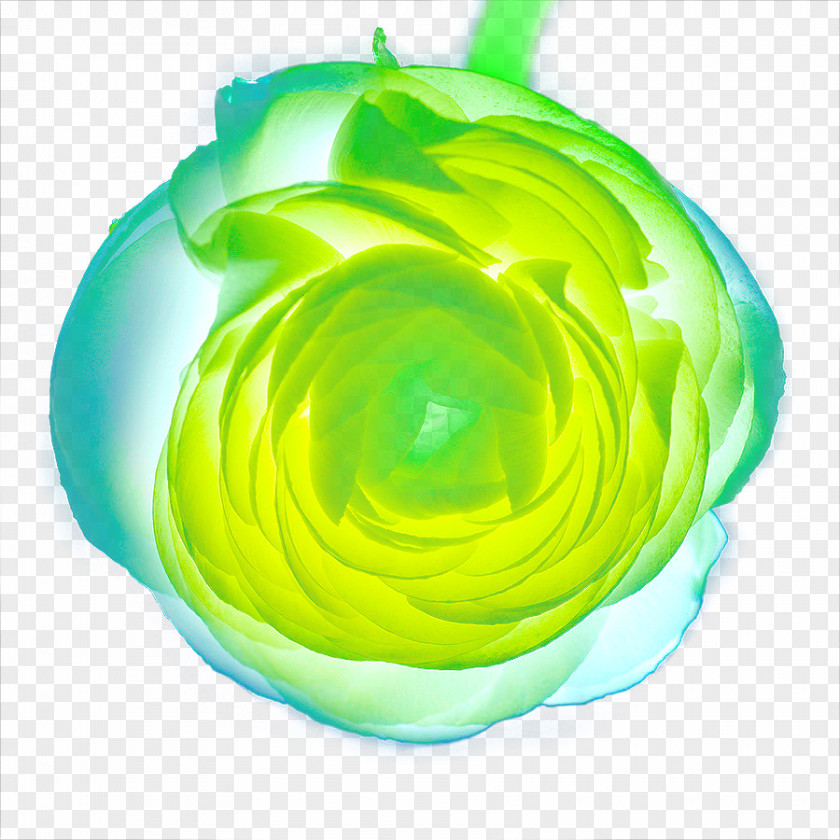Hand Painted Green Light Effect Flower Closeup Circle PNG