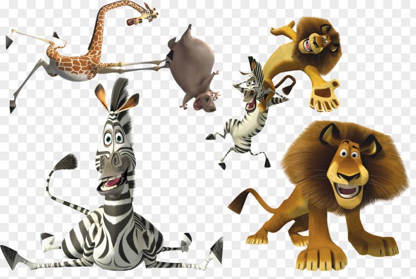 Madagascar Alex Gloria Cartoon Animation PNG