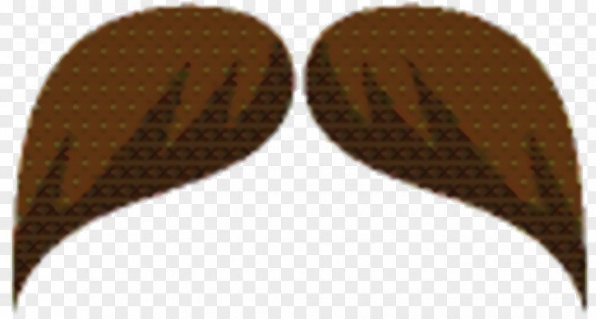 Brown Footwear Leaf Background PNG
