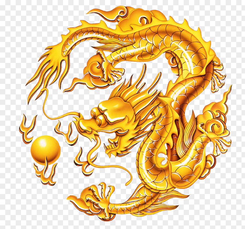 China Chinese Dragon The Song Of Golden PNG
