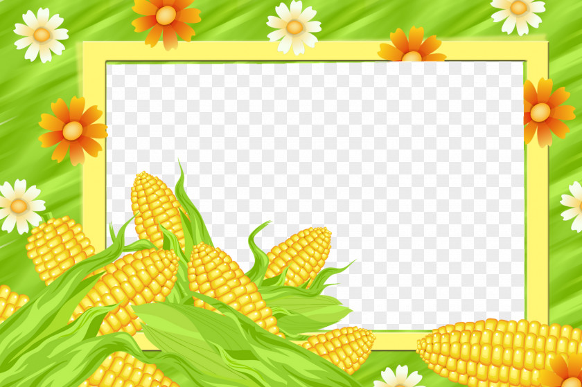 Corn Picture Frames Maize Sweet PNG