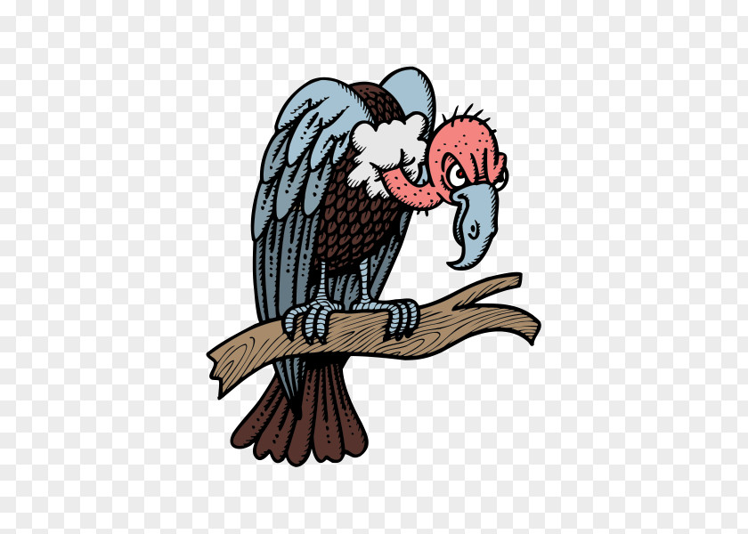 Turkey Vulture Clip Art PNG