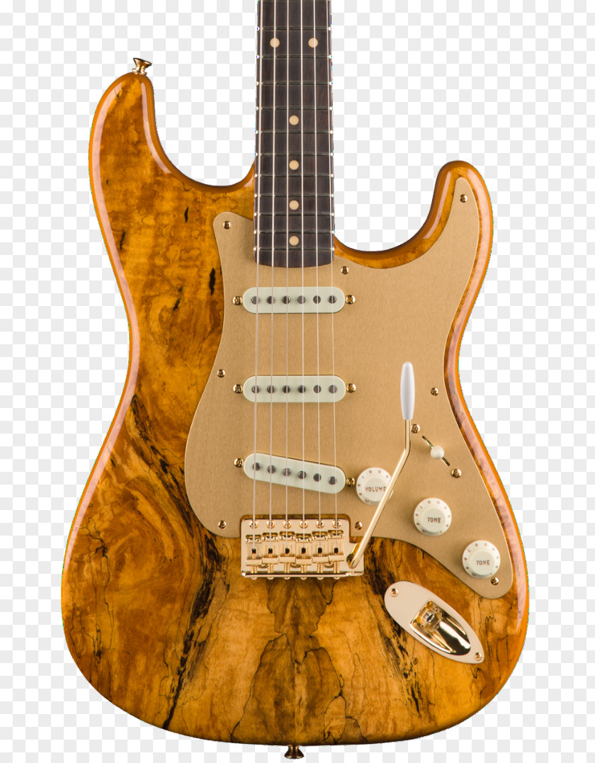 Electric Guitar Bass Fender Stratocaster Spalting PNG