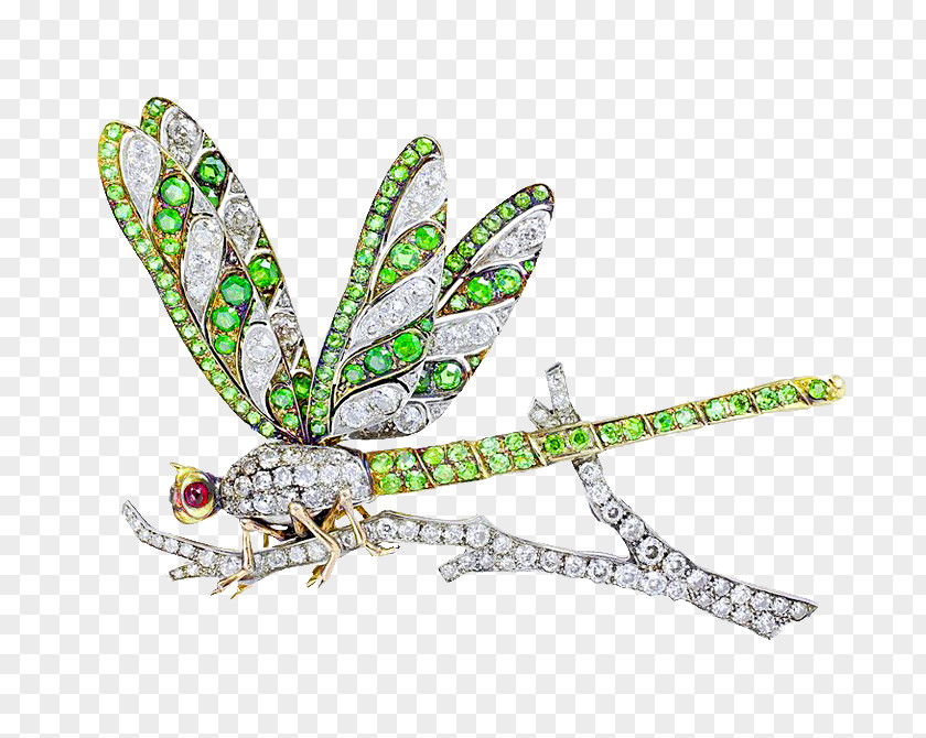 Insect Jewellery Brooch Dragonfly Plique-à-jour PNG