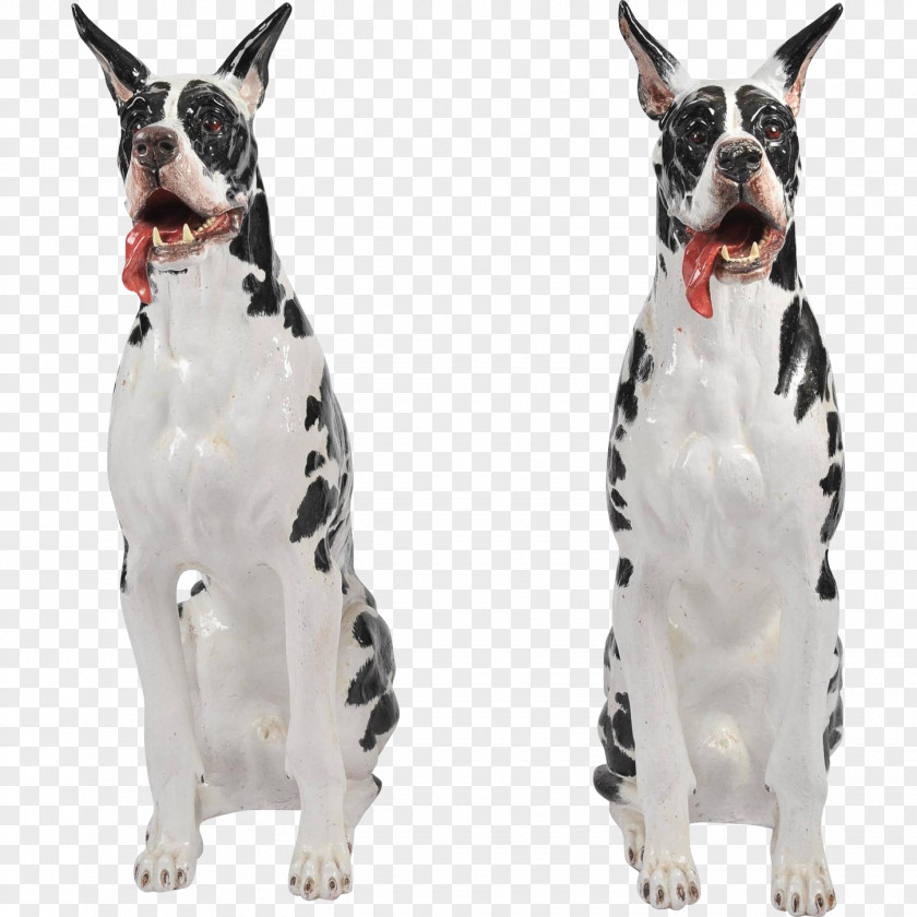 Italy Great Dane Boston Terrier Dog Breed Boxer PNG