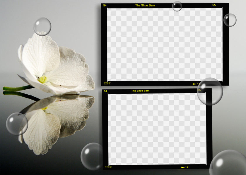 Photoshop Flower Desktop Wallpaper Nature Mirror PNG