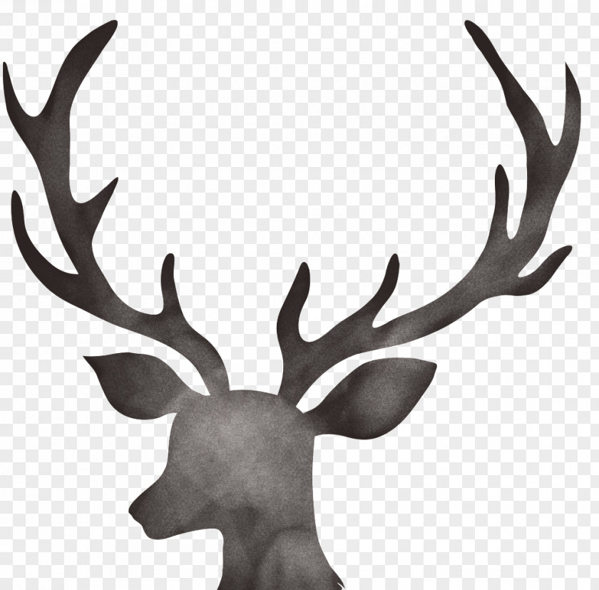 Antlers Design Element Deer Antler Floral Moose Christmas Day PNG