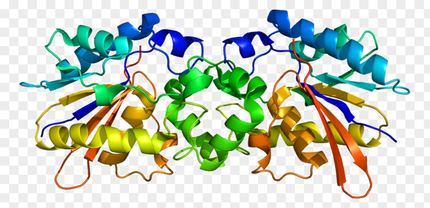 Protein Biology Science Enzyme Clip Art PNG