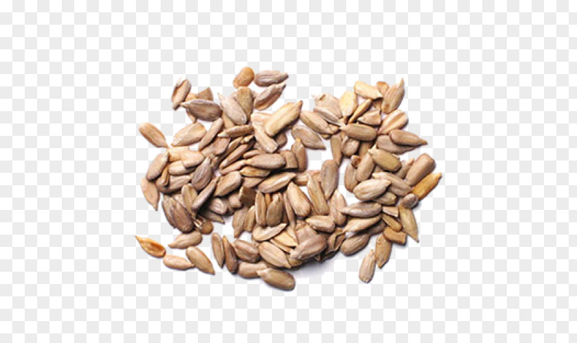 Sunflower Seed Common Food PNG