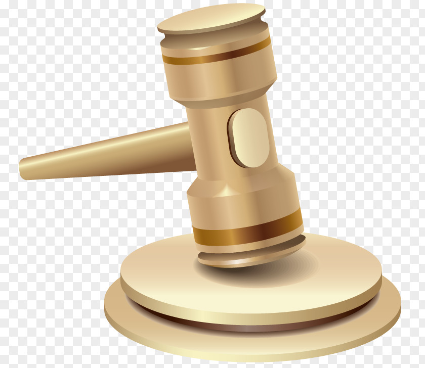 Business Court Service Hammer PNG