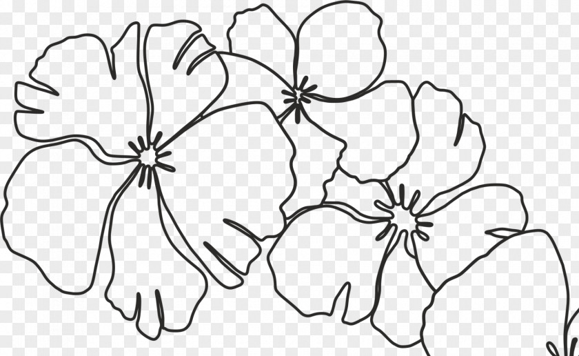 Fluid Overload Floral Design Illustration Drawing /m/02csf Cut Flowers PNG