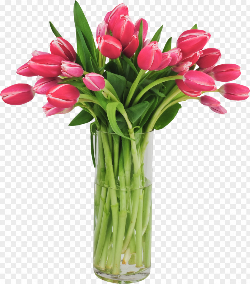 Tulip Flower Clip Art PNG