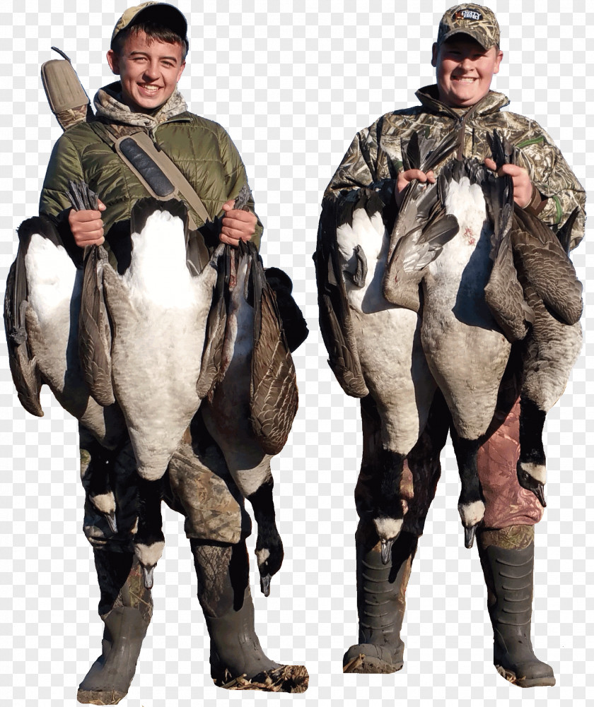 Duck Waterfowl Hunting Goose Outfitter PNG