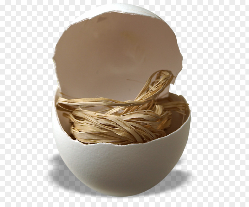 Egg Eggshell Easter Nest PNG