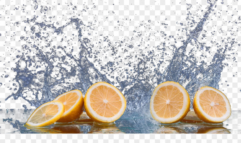 Fresh Vibrant Orange Lemon Citrus Xd7 Sinensis Tangerine Grapefruit PNG