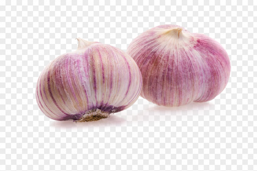 Garlic Shallot Red Onion PNG
