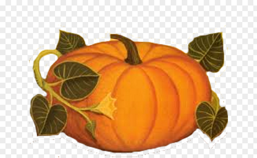 Pumpkin Calabaza Winter Squash Cucurbita Gourd PNG