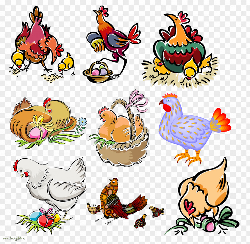 Chicken Rooster Drawing Clip Art PNG