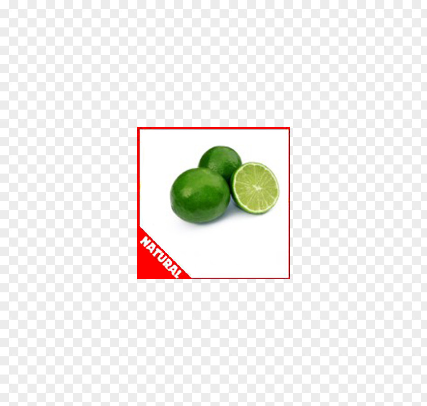 Lime Key Citric Acid Citrus PNG