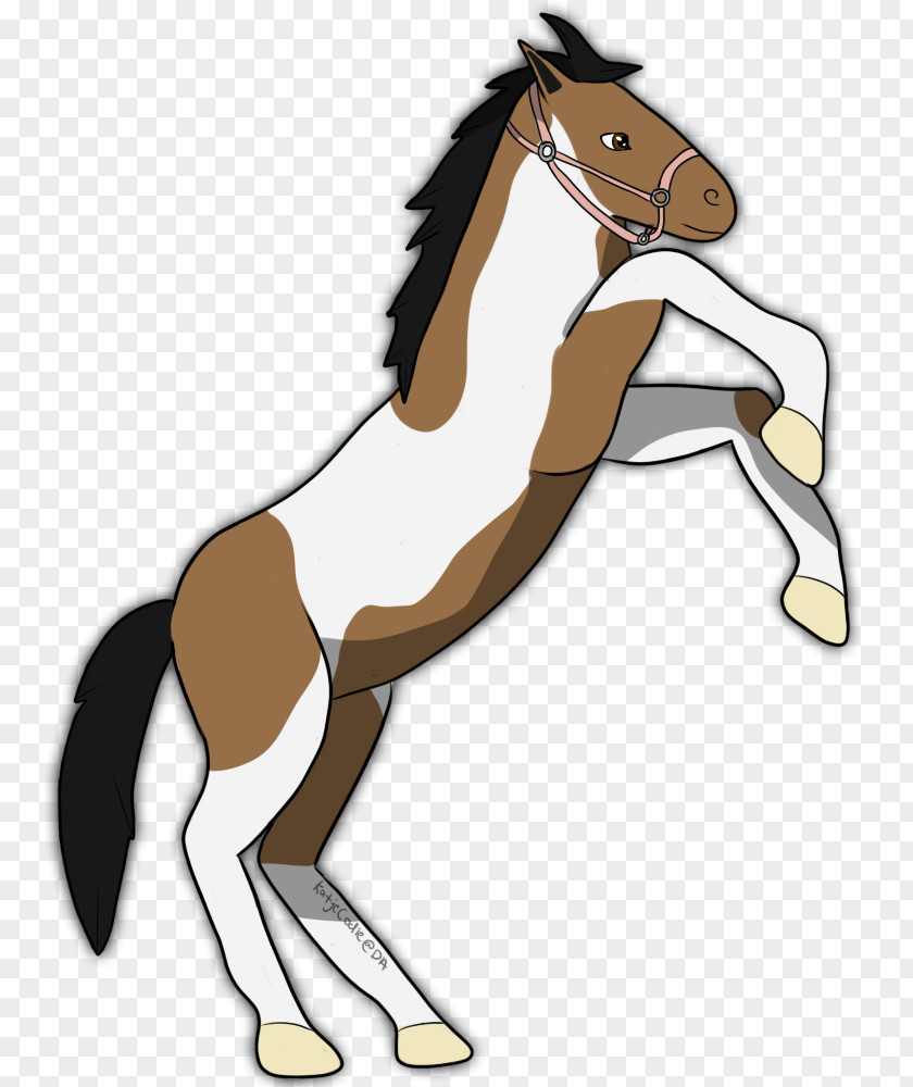Mustang Mane Foal Stallion Rein PNG