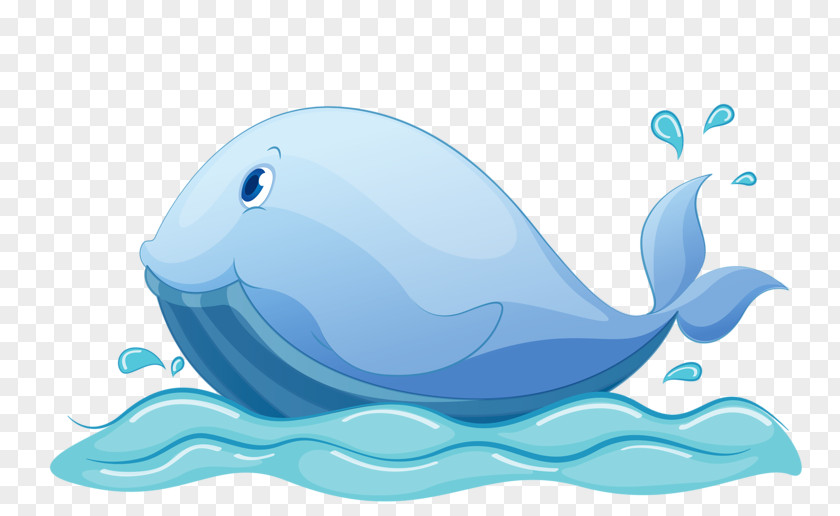 Blue Whale Royalty-free Cartoon Illustration PNG