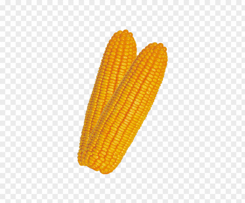 Corn On The Cob U852cu679c PNG