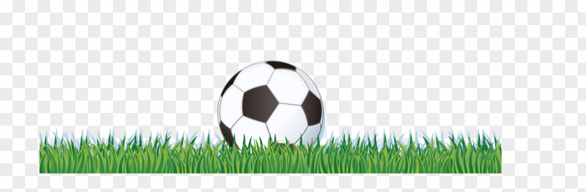 Football Logo Grasses Green Font PNG