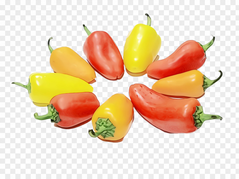 Italian Sweet Pepper Vegetarian Food Chili Con Carne Bell Cuisine PNG
