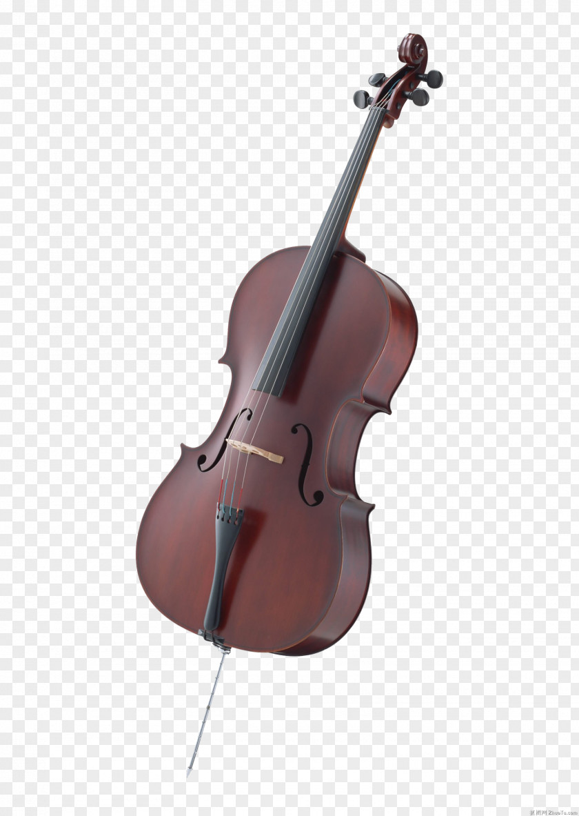 Musical Instruments Cello Instrument Violin String PNG