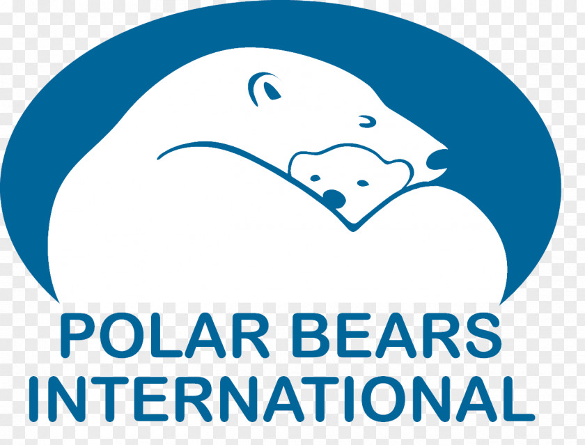 Polar Bear Bears International Arctic Hudson Bay PNG