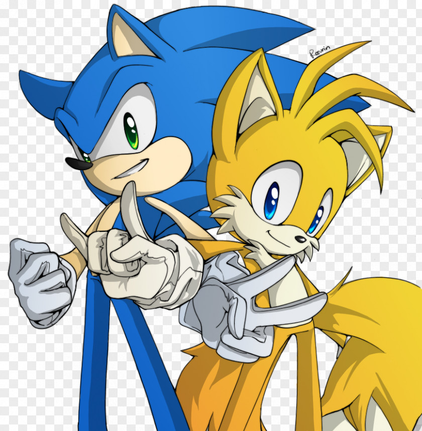Sonic The Hedgehog Chaos Tails Knuckles Echidna Amy Rose PNG