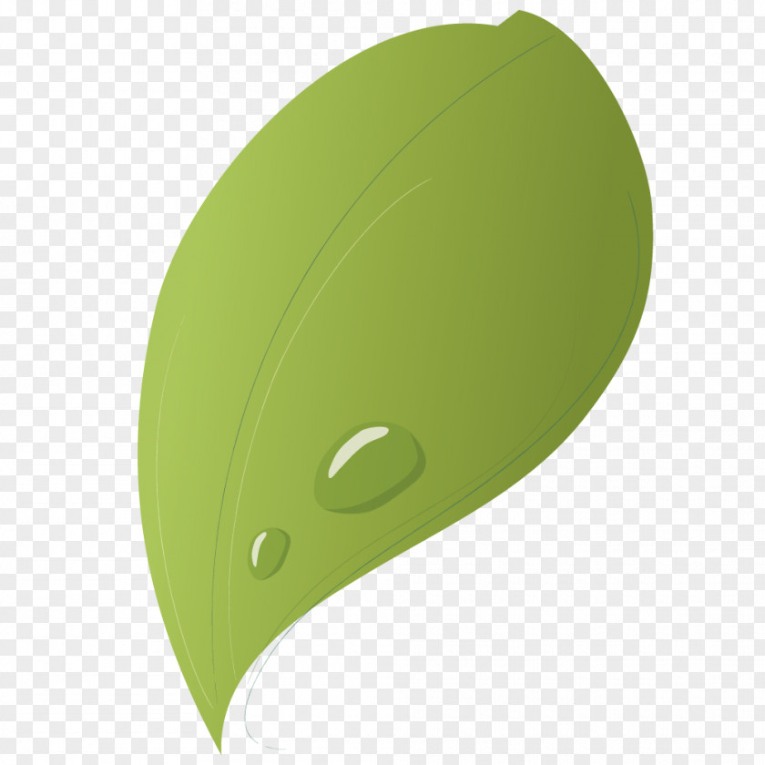 Water Droplets On The Leaves Green Drop Leaf PNG