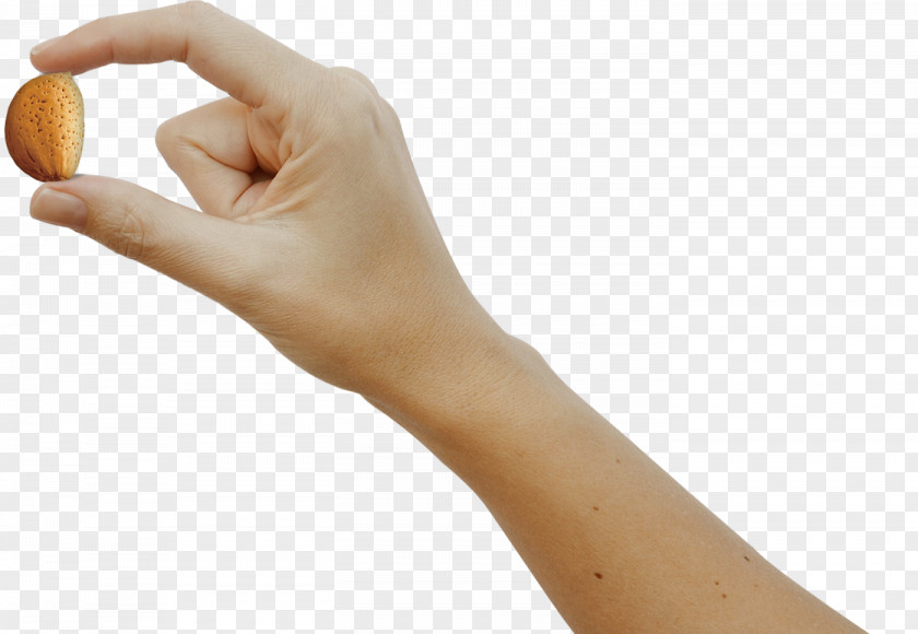 Hand Thumb Model PNG