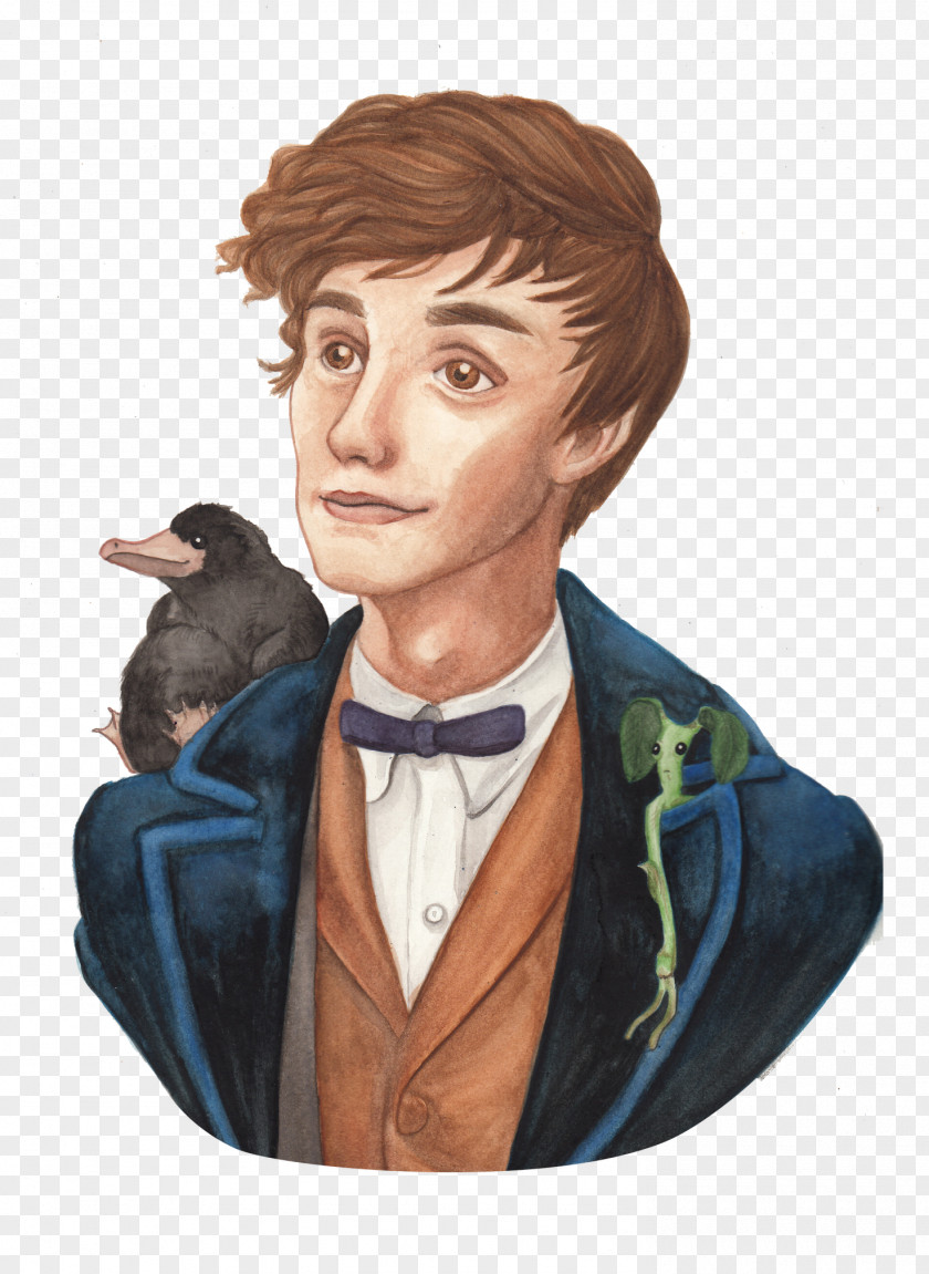 Newt Frame Scamander Fantastic Beasts And Where To Find Them Illustration Character PNG
