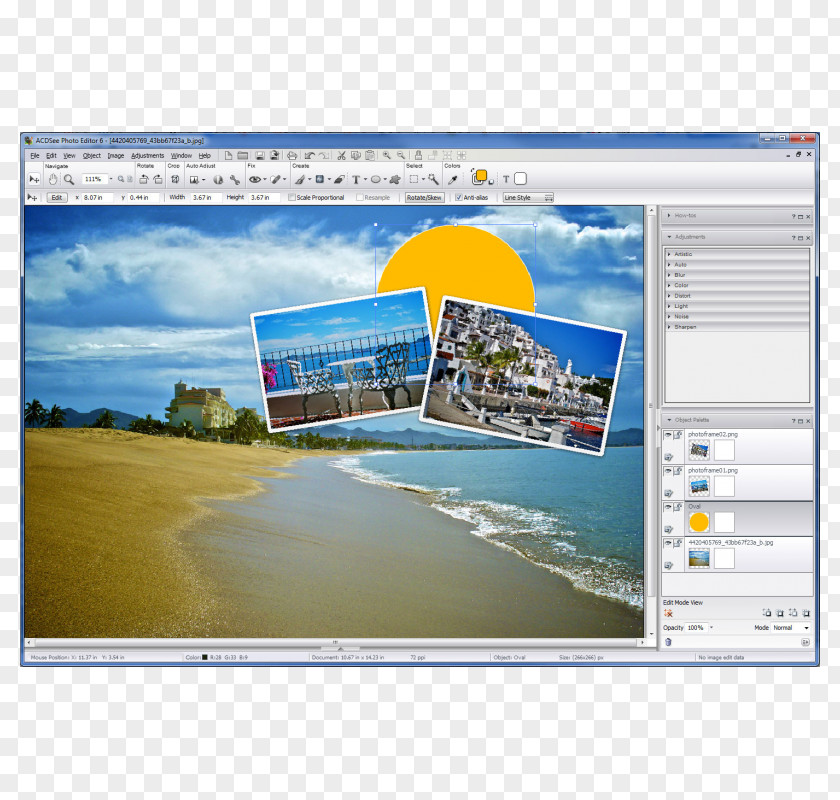 Acdsee Photo Editor Computer Software ACDSee Editing Text PNG