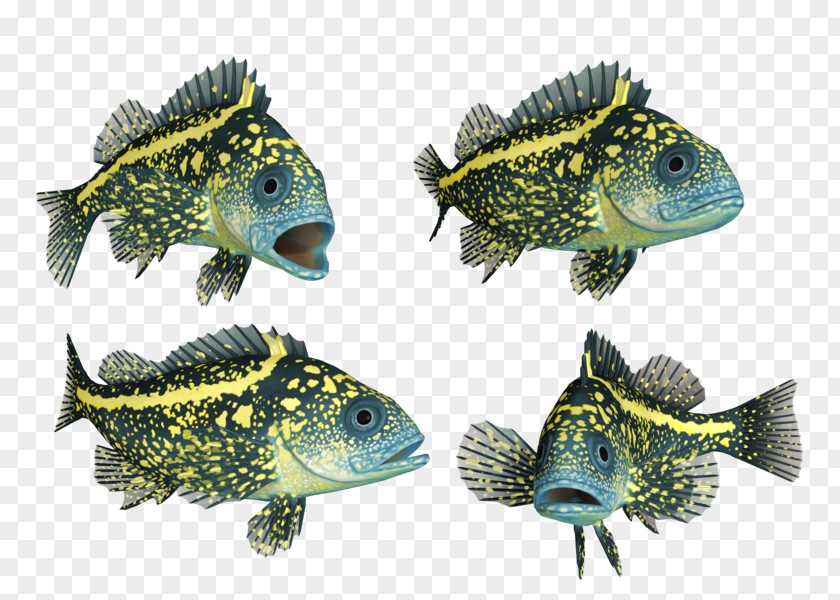 Fish Deep Sea PNG