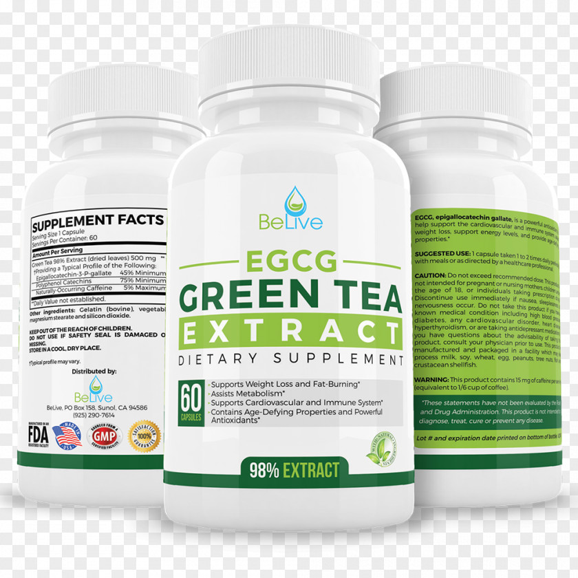 Green Tea Benefits Dietary Supplement Weight Loss Anti-obesity Medication PNG