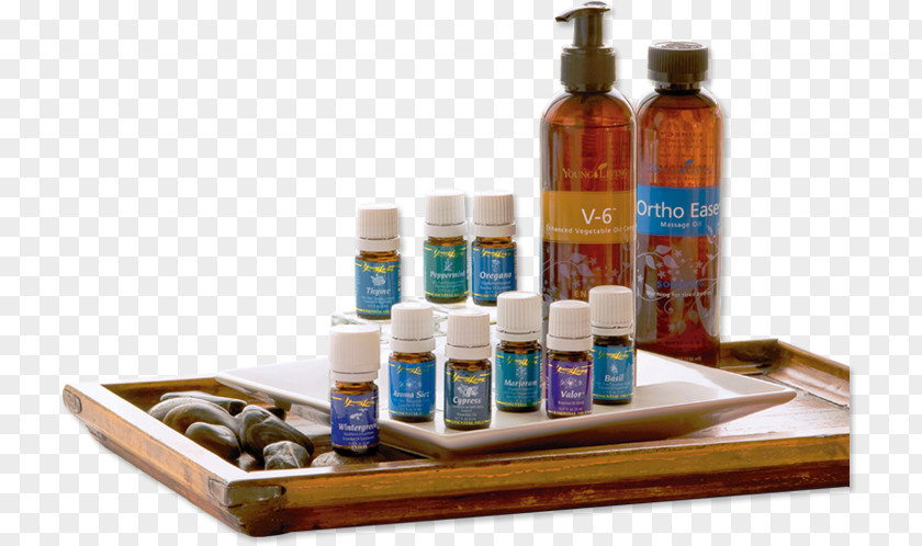 Oil Raindrop Technique Young Living Therapy Massage Essential PNG