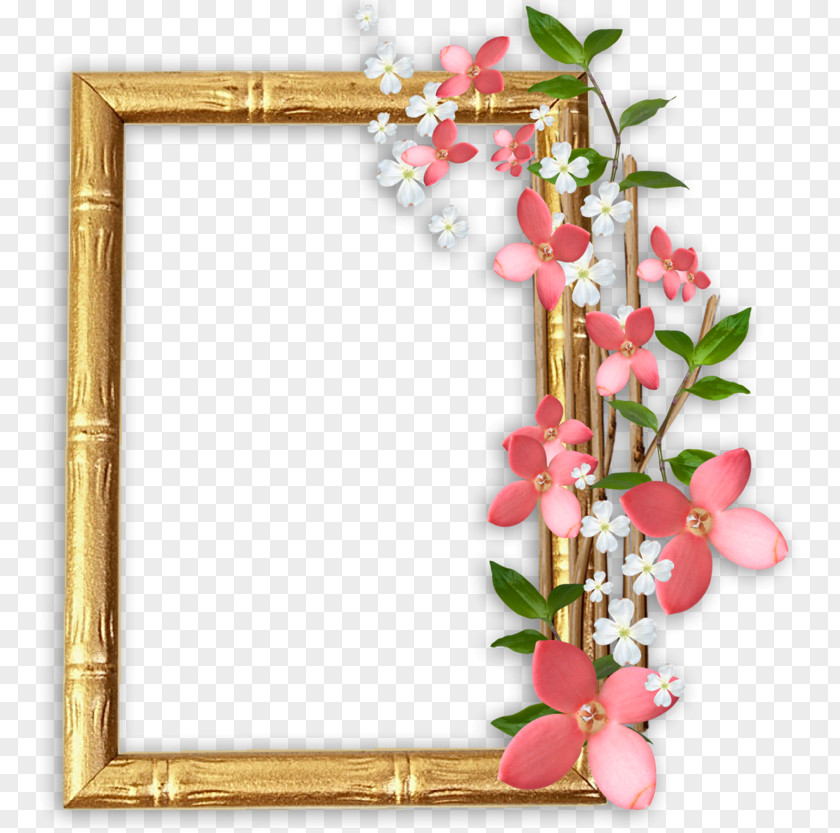 Picture Frames Floral Design Photography Drawing PNG