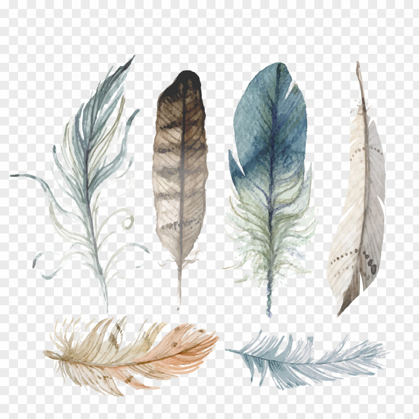 Turkey Feather University Of Campinas Drawing Sparrow Holistic Health Vector Graphics Free Content PNG