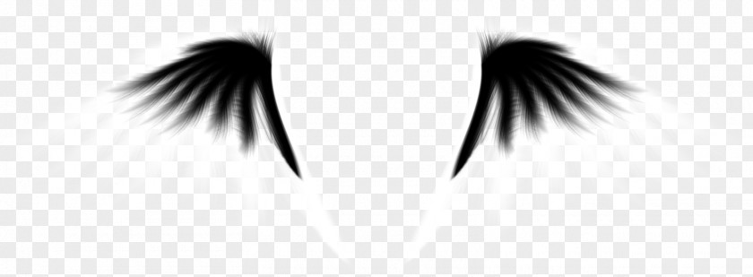 Black And White Wings Eye PNG
