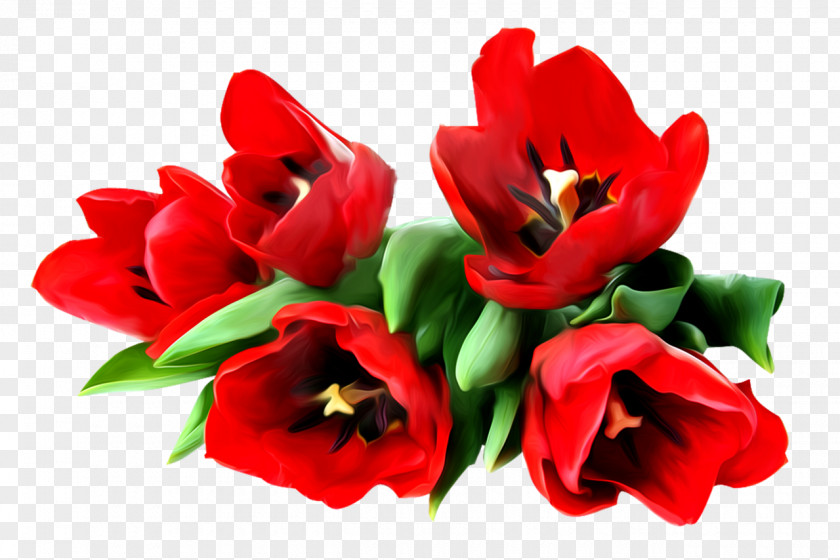 Flower Bouquet Cut Flowers Stock Photography Clip Art PNG